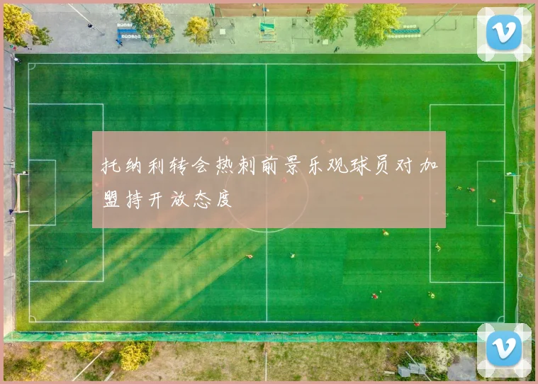 托纳利转会热刺前景乐观球员对加盟持开放态度