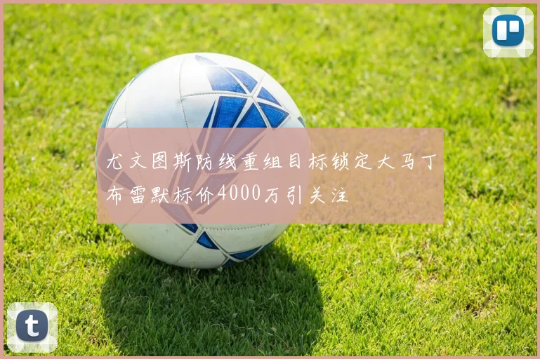 尤文图斯防线重组目标锁定大马丁布雷默标价4000万引关注